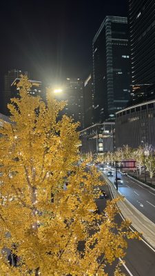 大阪梅田･北新地エリア メンズ脱毛サロンVEALIS ブログ写真 いちょうの木